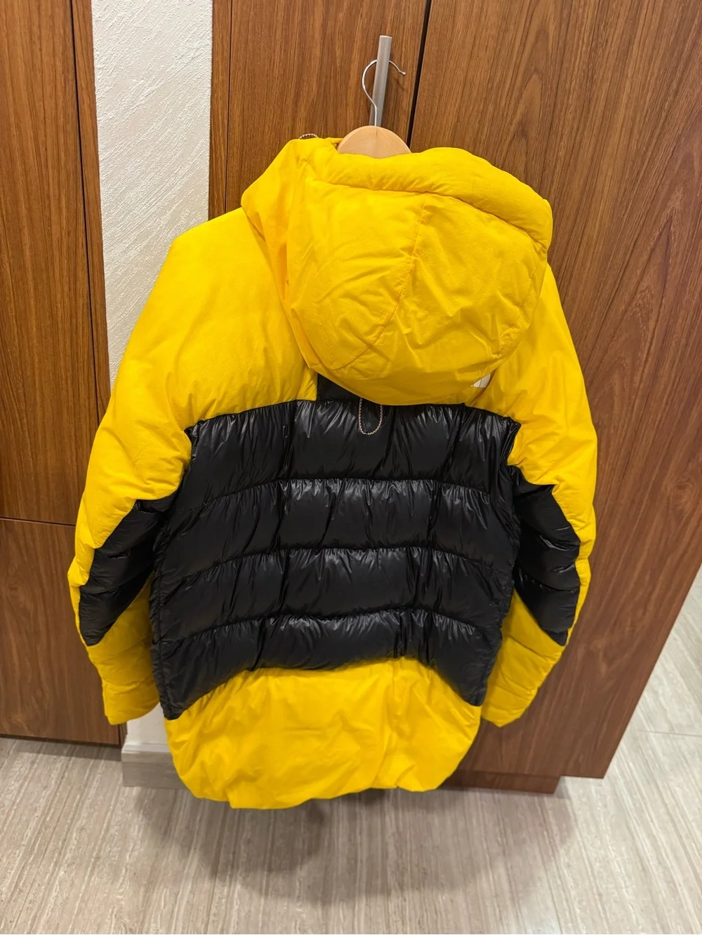 The North Face Antarctica 🇦🇶 L6 expedition jacket Limited Edition